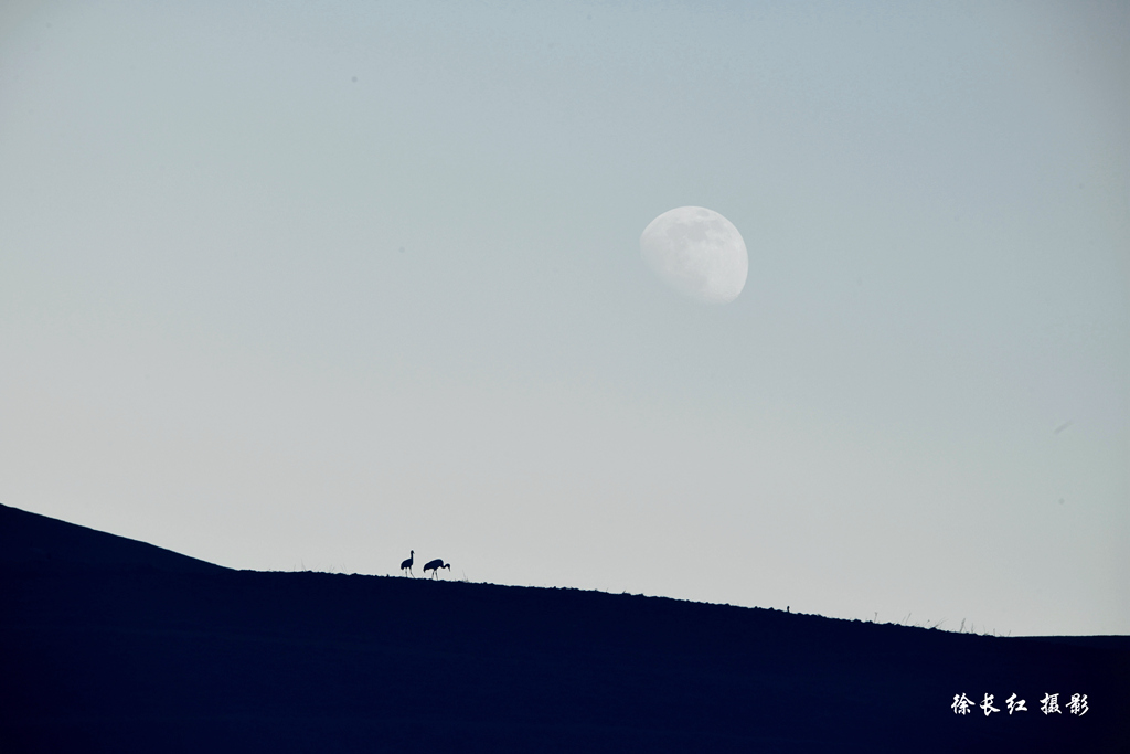 ���ĺ�ר�ߡ����ϴ�ɽ���ھ�����Ȼ�������ճ��ƺ���ʪ�ط��������Ӱ��