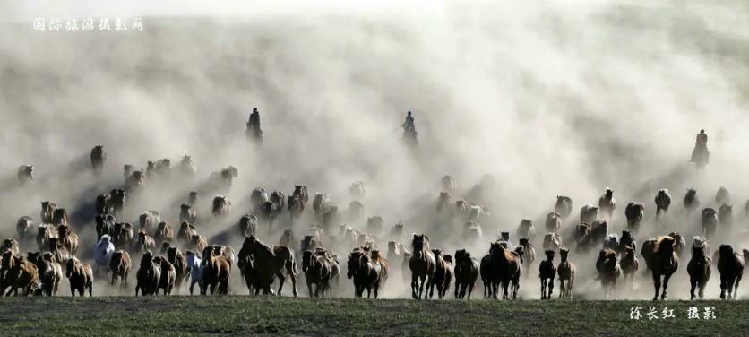 2026�������ꡤ��ʮһ���ļ�������ͳ���ϲ�ԭ����������Ӱ�ţ�ʢ����ļ��