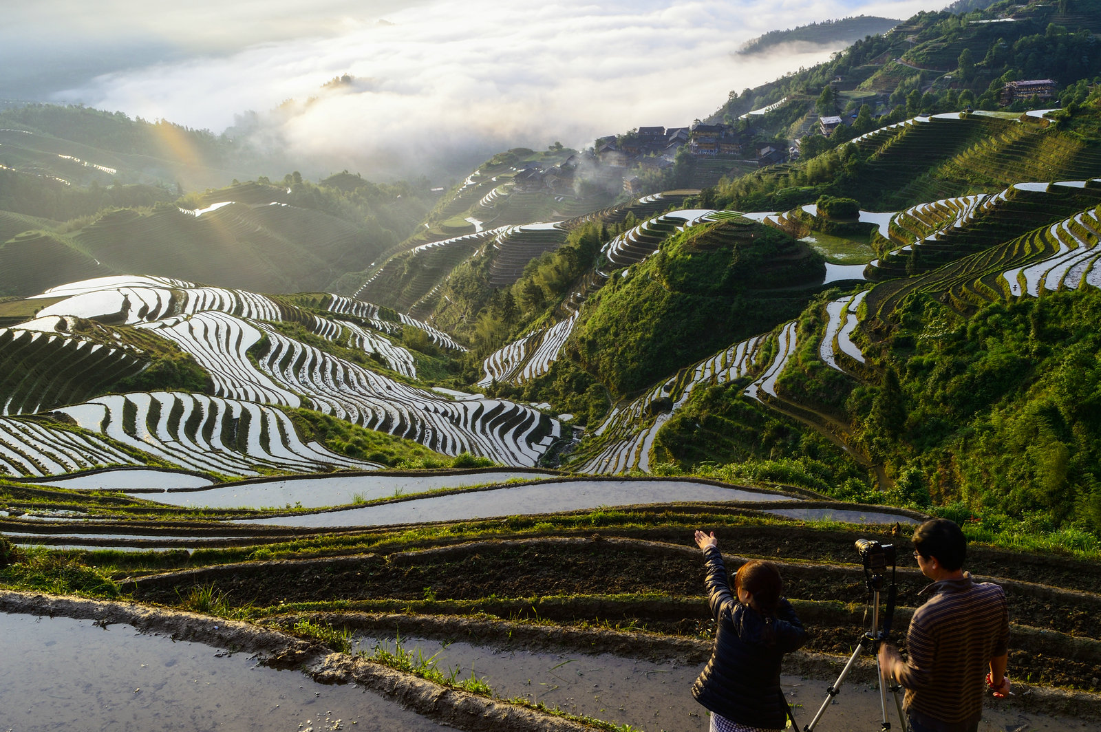 龙胜梯田-南宁中国旅行社-南宁旅游-桂林旅游-广西旅游-南宁旅行社-南宁中旅