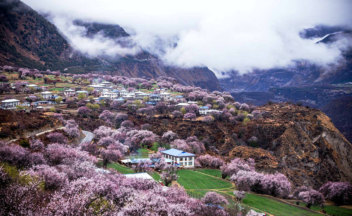 春季拉萨,林芝桃花村,尼洋河春色,然乌,波密桃花沟风光精品旅拍团