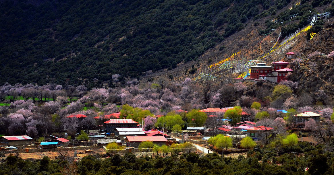 林芝 波密十里桃花 尼洋河 鲁朗风光 色季拉山高原风光旅拍团(5日行程