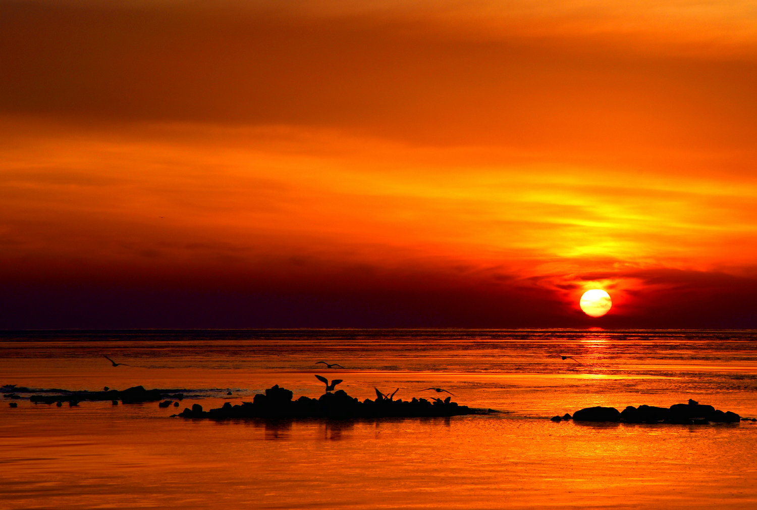 _DSC0831_看图王.jpg