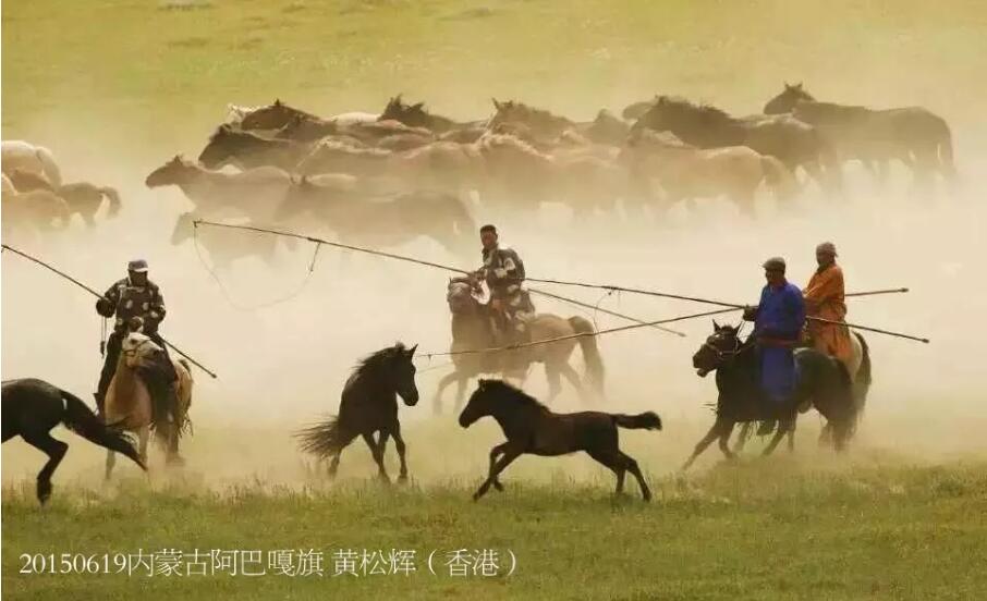 中国马都锡林郭勒初夏大型游牧文化一年一度摄影活动