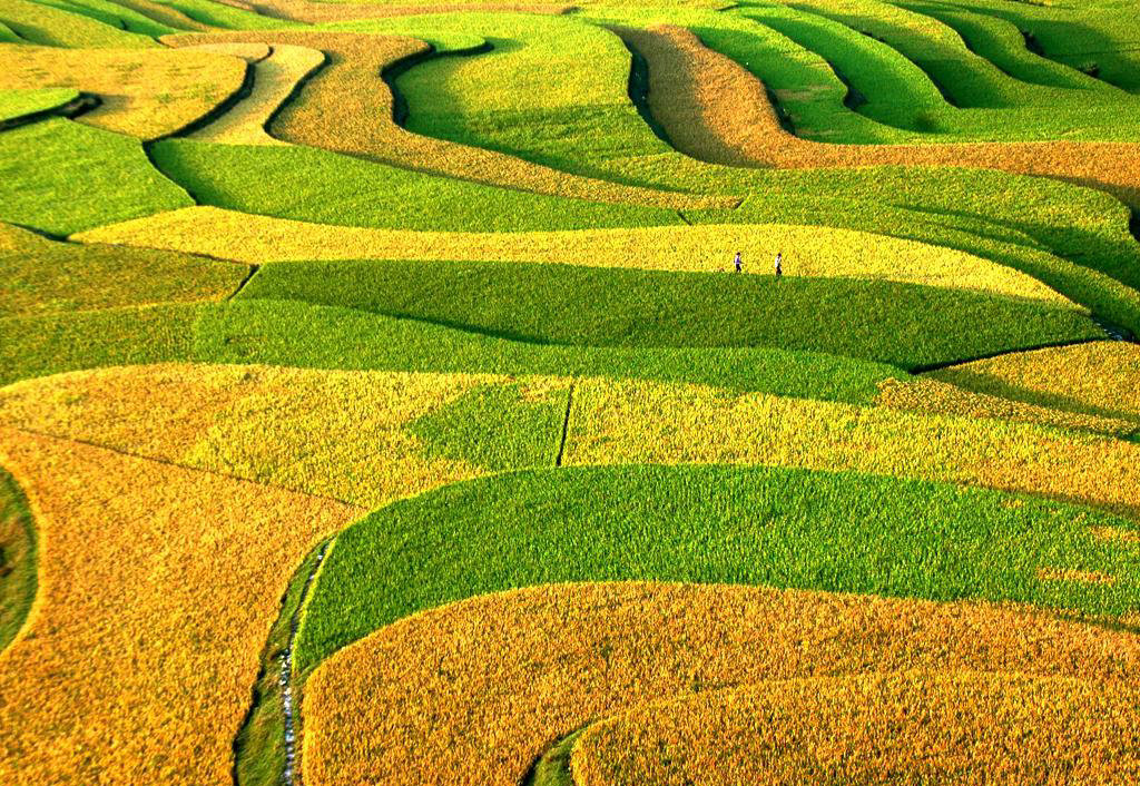 9月7日桂林龙脊梯田、漓江风光6日专业摄影团(报名结束)