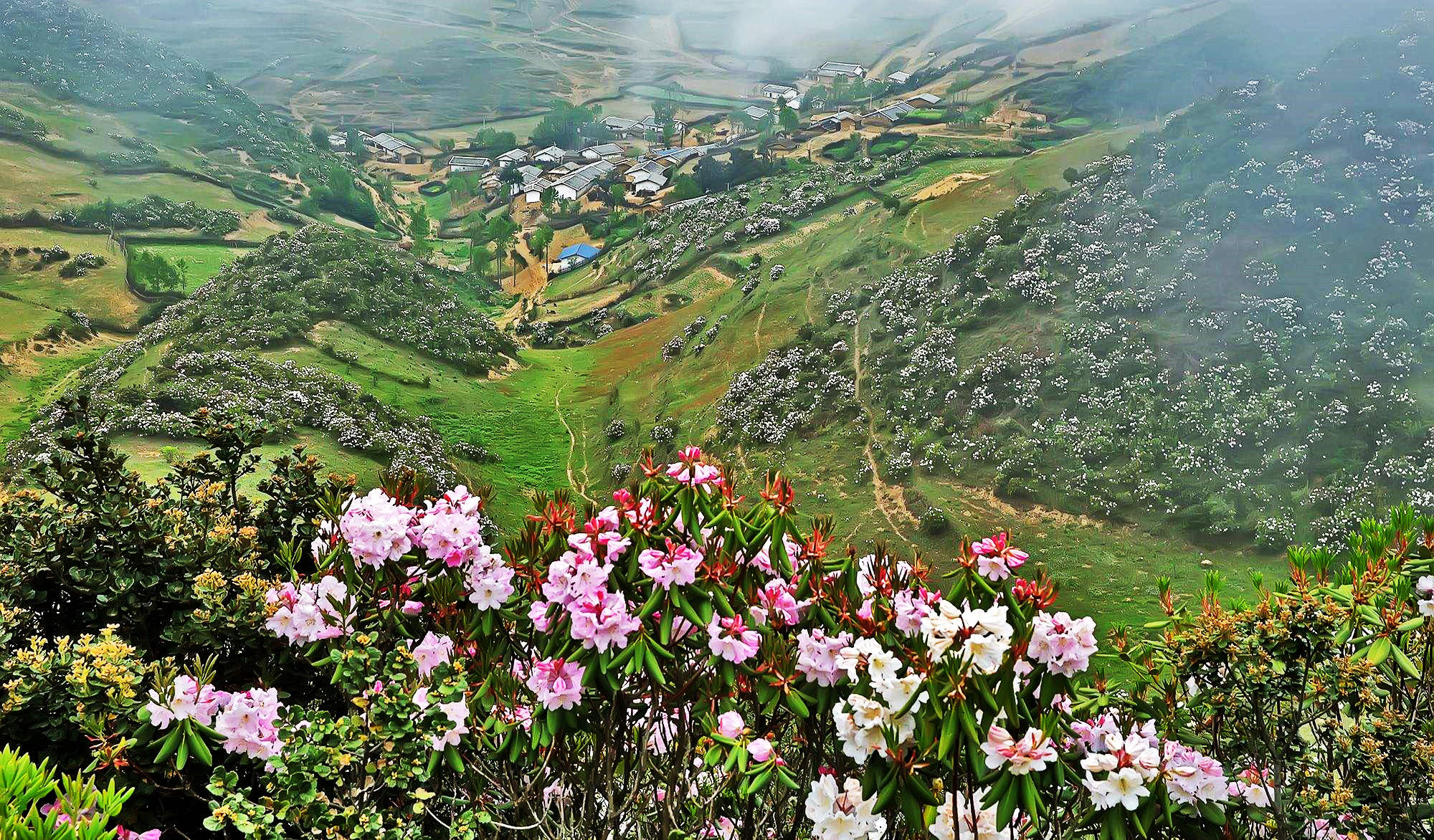 走进凉山寻彝情，踏遍攀西览美景-西昌旅游攻略-游记-去哪儿攻略