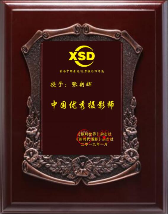 QQ截图20190226172527.jpg