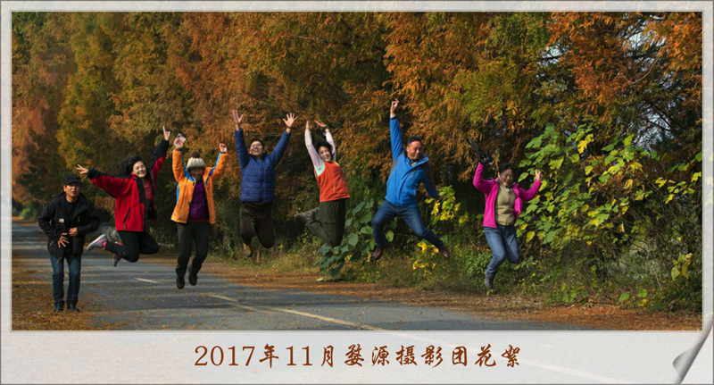 微信图片_20171201143318.jpg