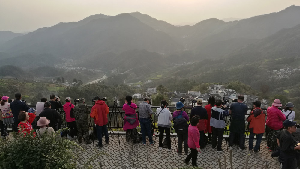 微信图片_20190319173924.jpg