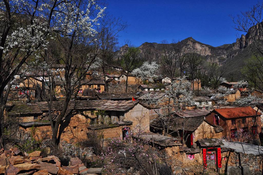 微信图片_20190408180023.jpg