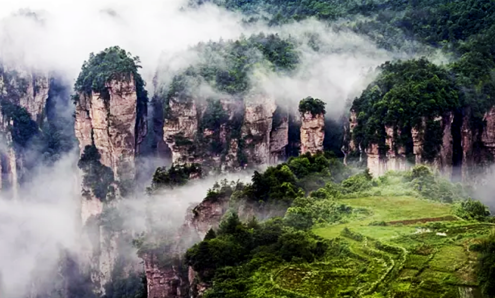 QQ截图20190418110939.png QQ截图20190418110939.png
