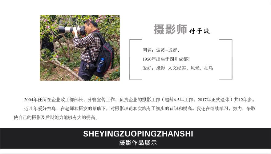 QQ截图20190505141012.jpg