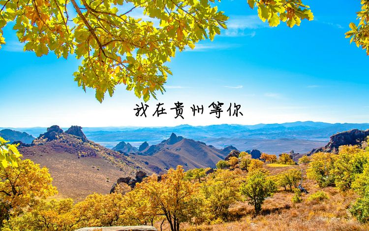 我在贵州等你【五】