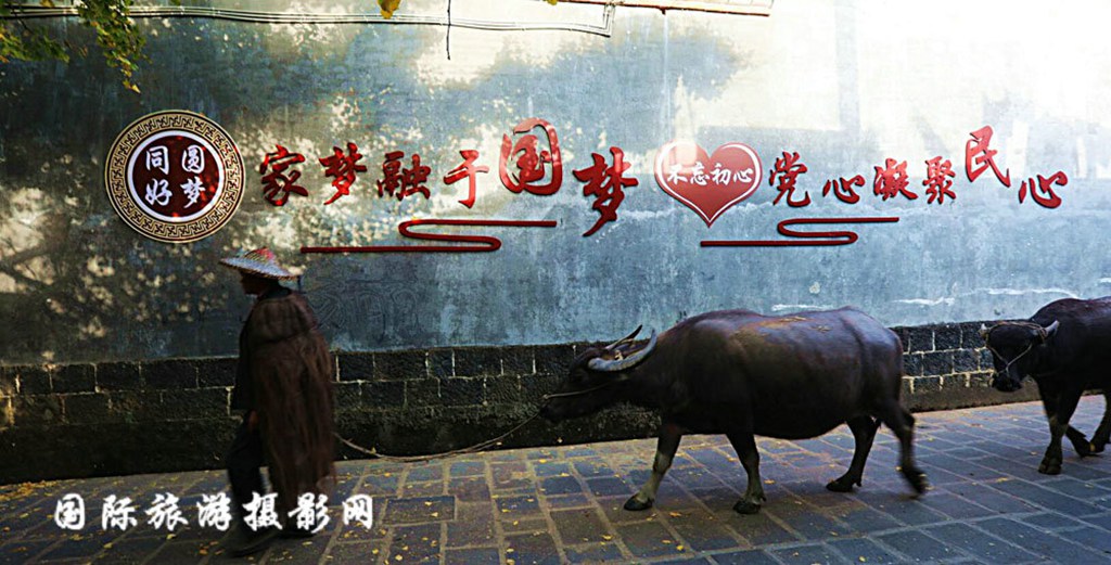 QQ截图20180813184523.jpg