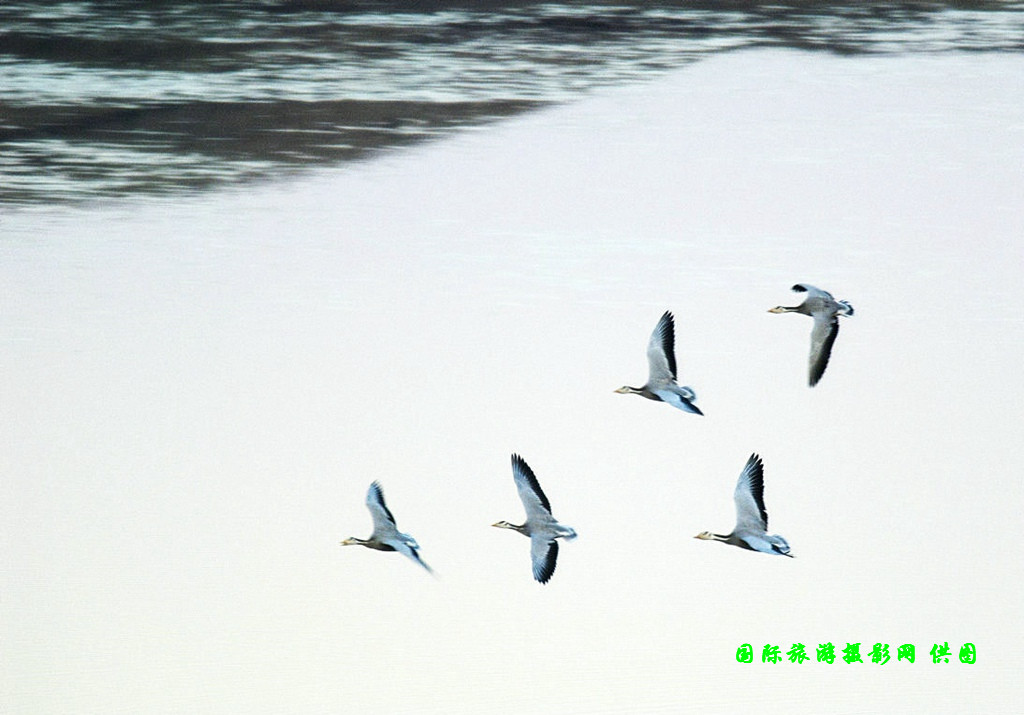 DSC_0258副本.jpg