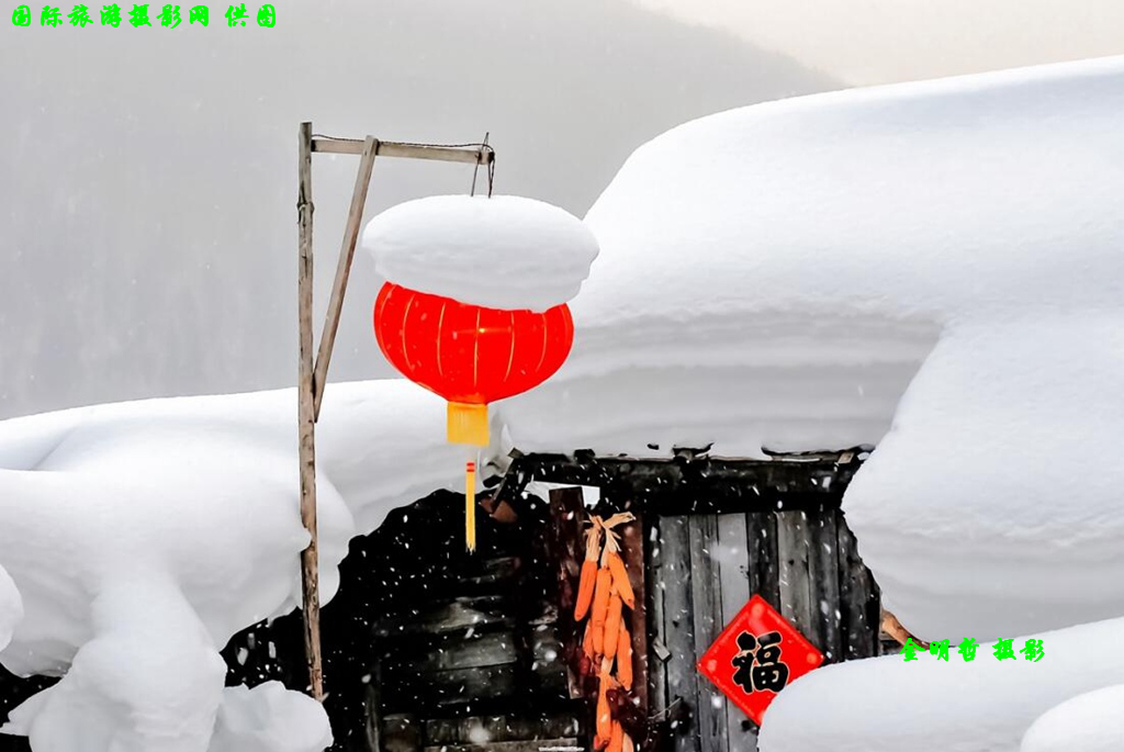 QQ截图20191101173047.jpg
