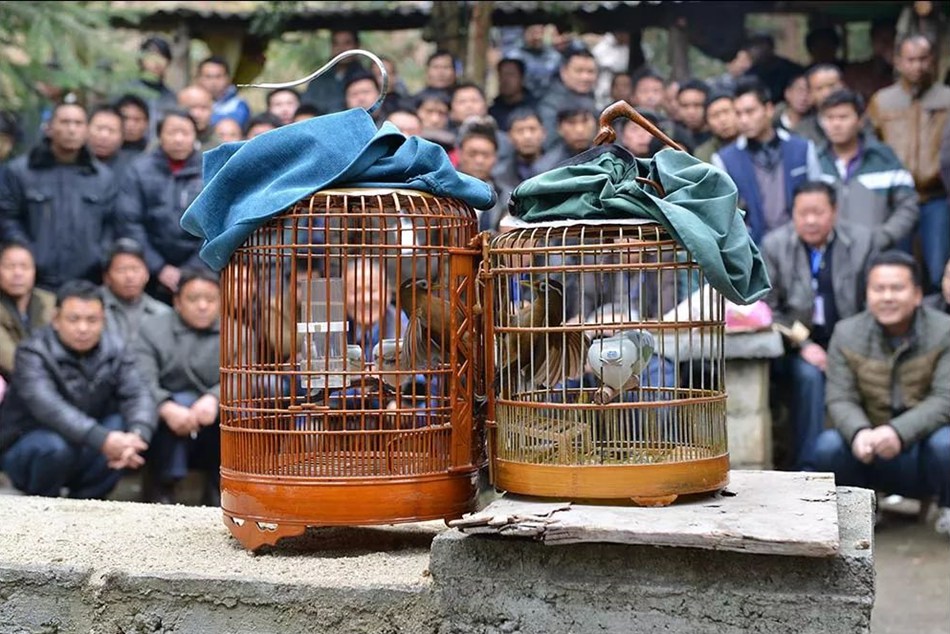 QQ截图20200105202152.jpg
