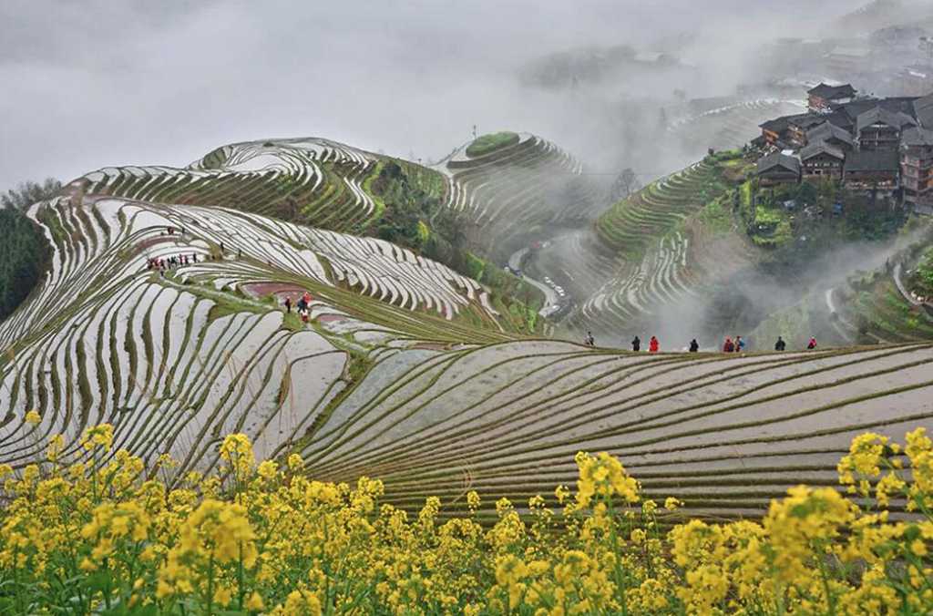 QQ截图20200326154608.jpg
