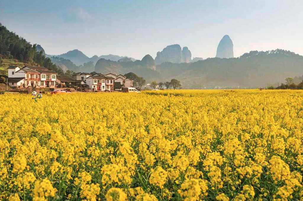 QQ截图20200326154526.jpg
