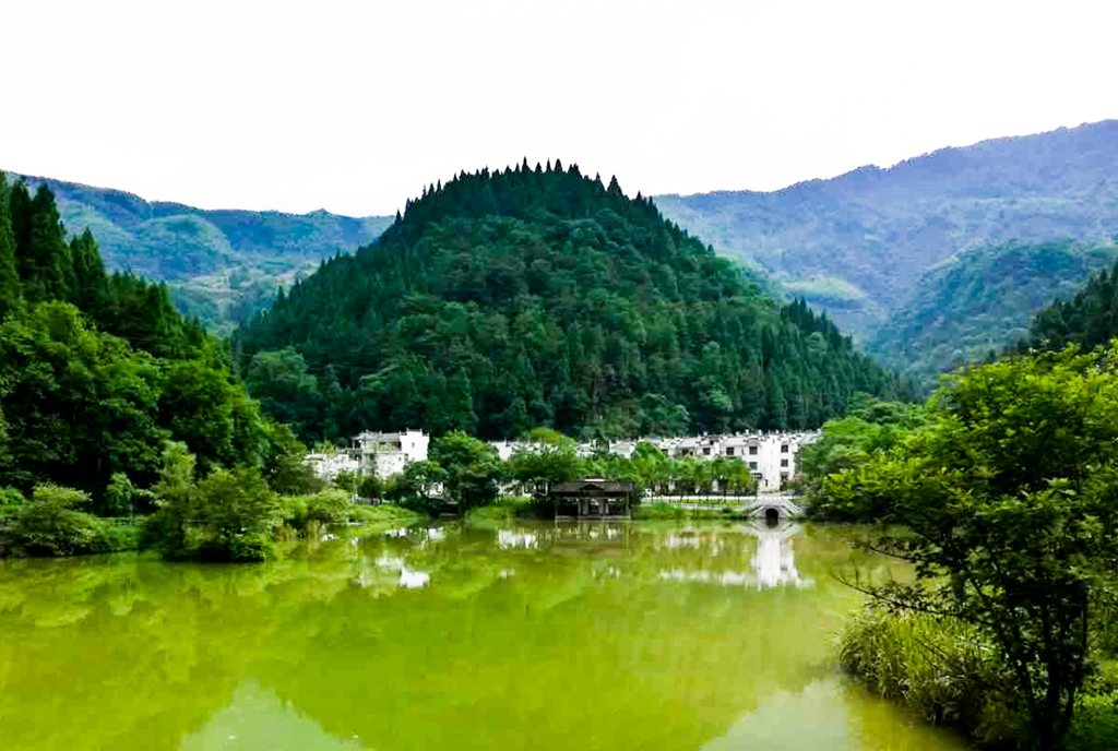 微信图片_20200507184129.jpg