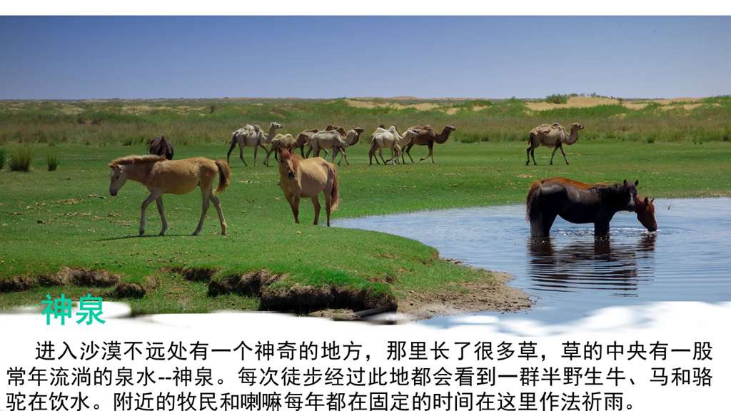 幻灯�?5.jpg