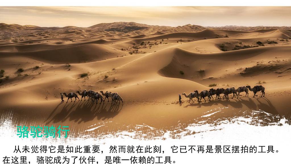 幻灯�?0.jpg