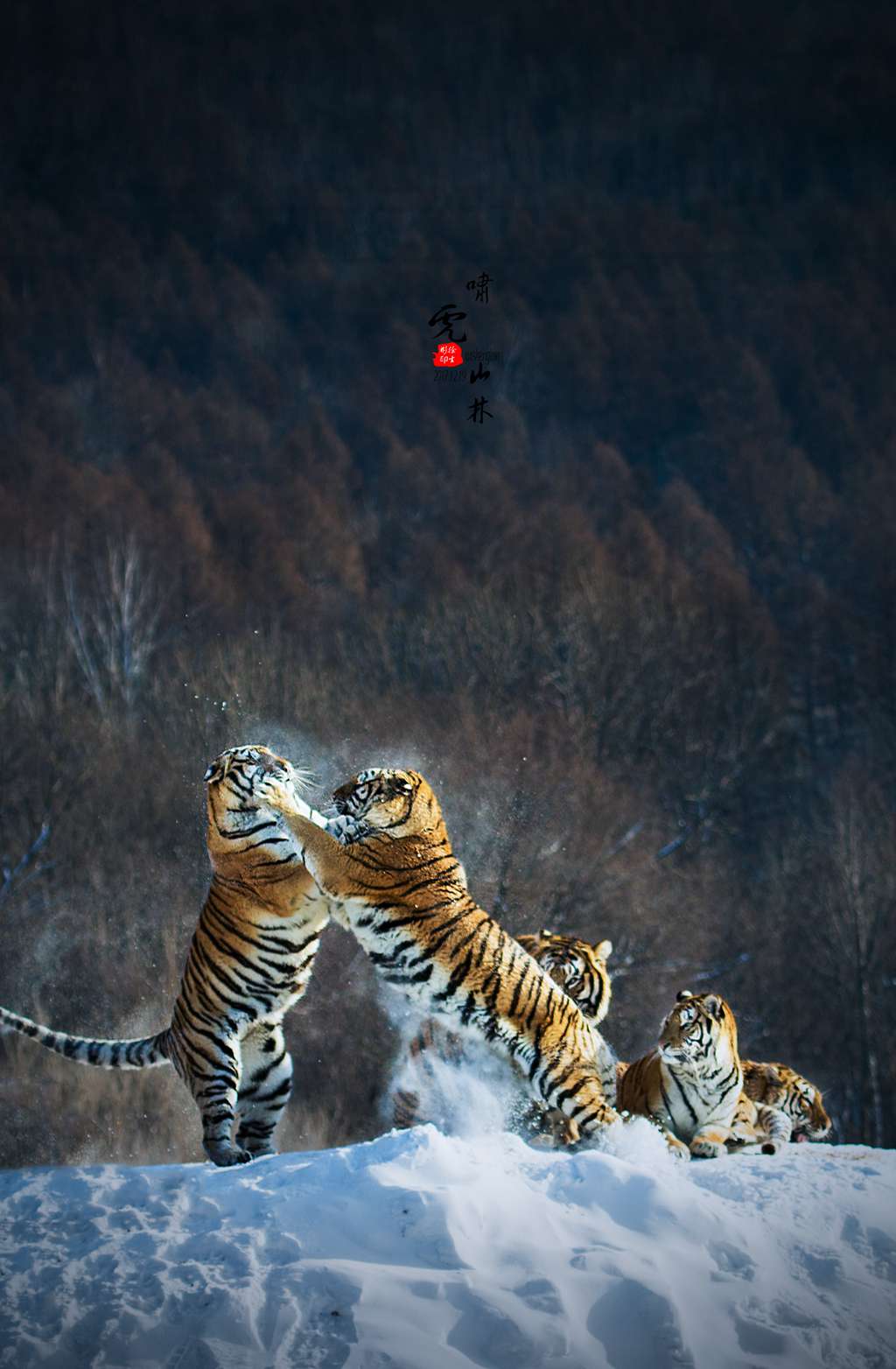 虎啸山林图手机壁纸,虎啸壁纸,虎啸山居图原图_大山谷图库