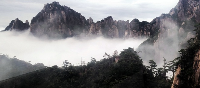 微信图片_20200608133551.jpg