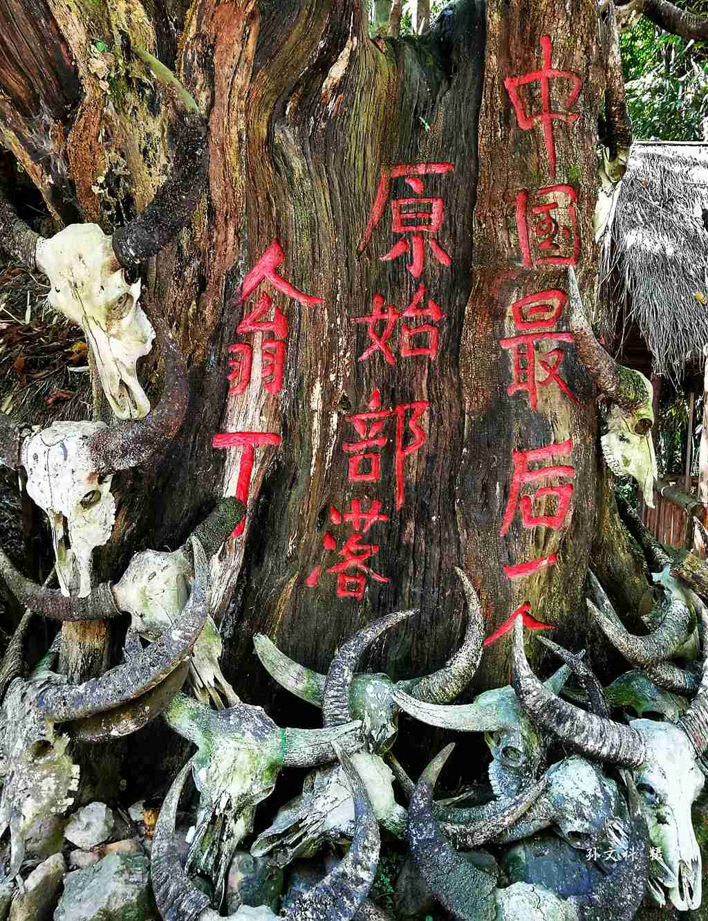 微信图片_20200613115013.jpg 微信图片_20200613115013.jpg