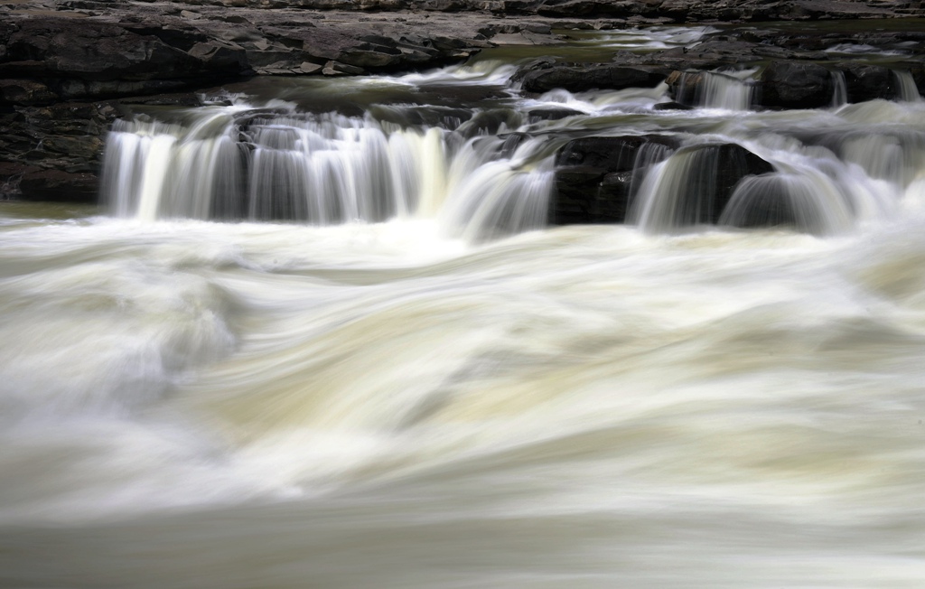 _DSC2450_副本.jpg