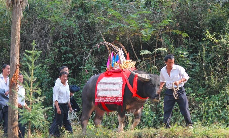 QQ截图20200701195924.jpg QQ截图20200701195924.jpg