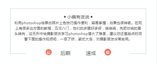 QQ截图20200703180615.jpg