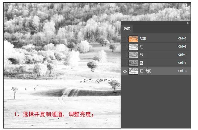 QQ截图20200703191015.jpg