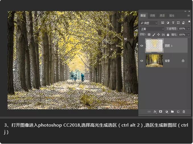 QQ截图20200703191701.jpg