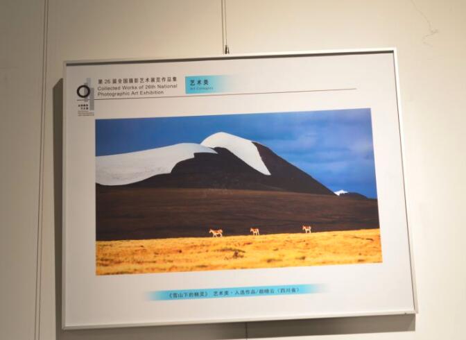 QQ截图20200703194845.jpg