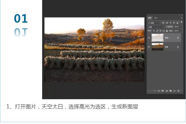 QQ截图20200703195029.jpg
