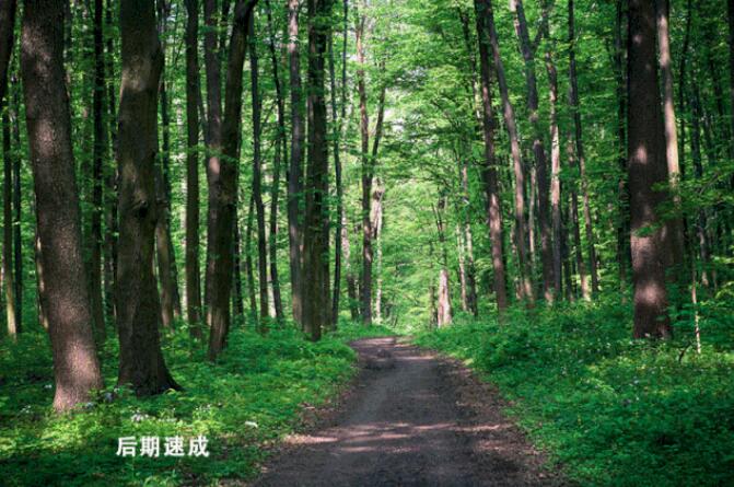 QQ截图20200703194931.jpg QQ截图20200703194931.jpg