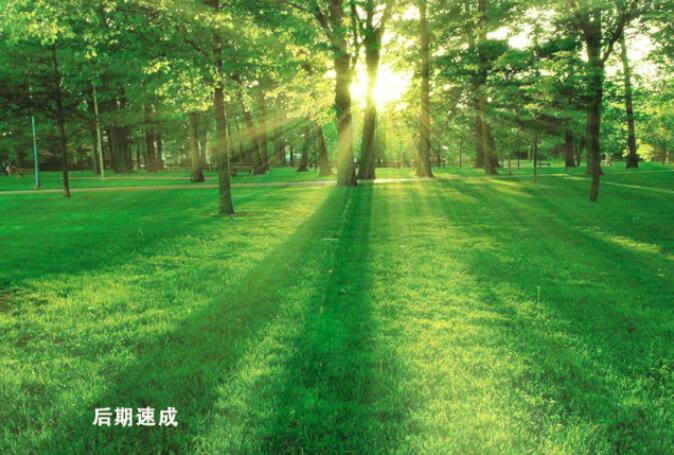 QQ截图20200703194939.jpg QQ截图20200703194939.jpg