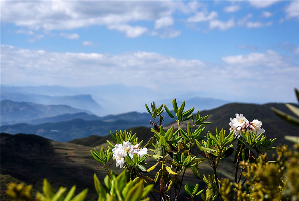 _DSC5026.jpg _DSC5026.jpg