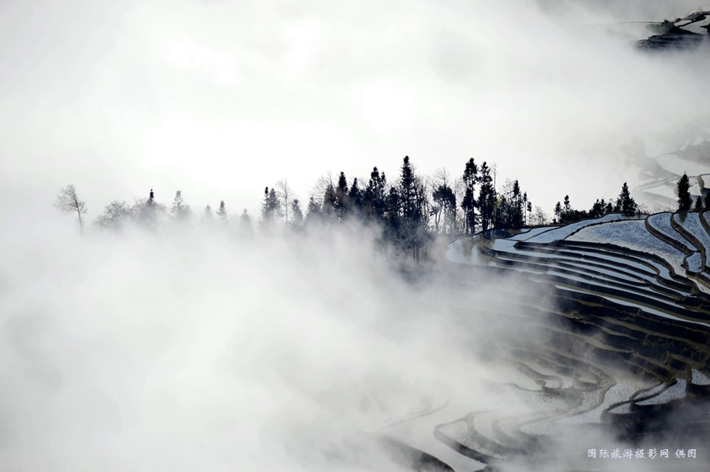 _DSC5171_副本.jpg