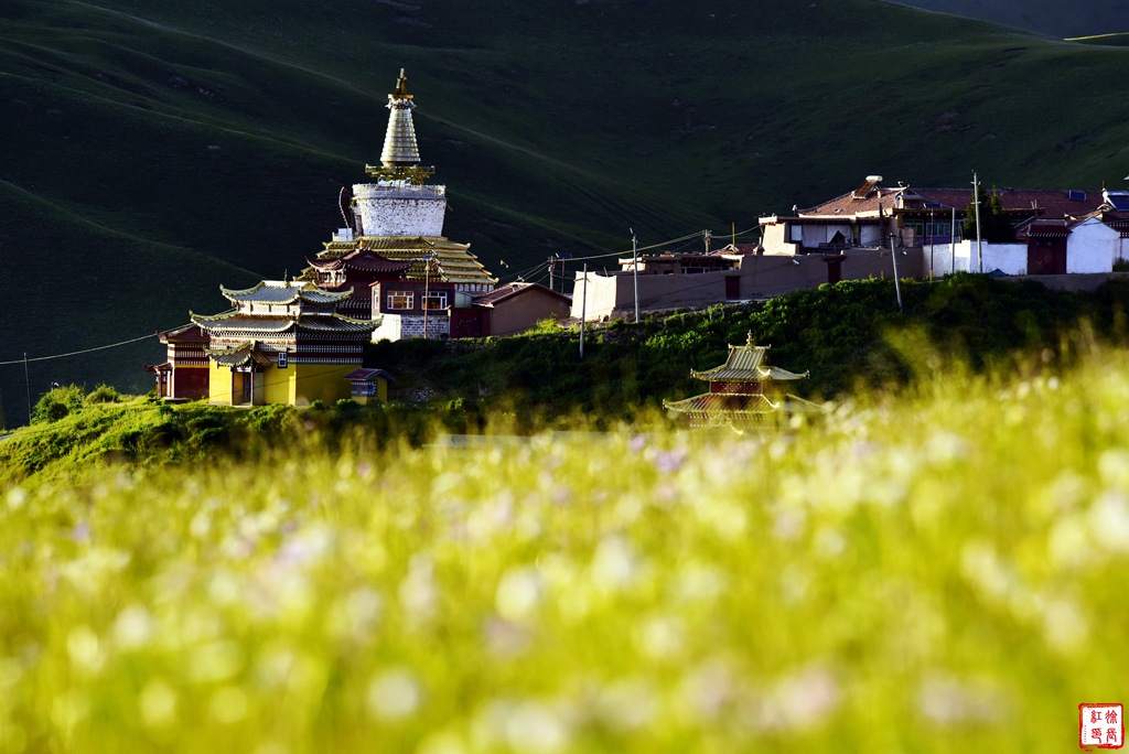 _DSC0344_副本.jpg