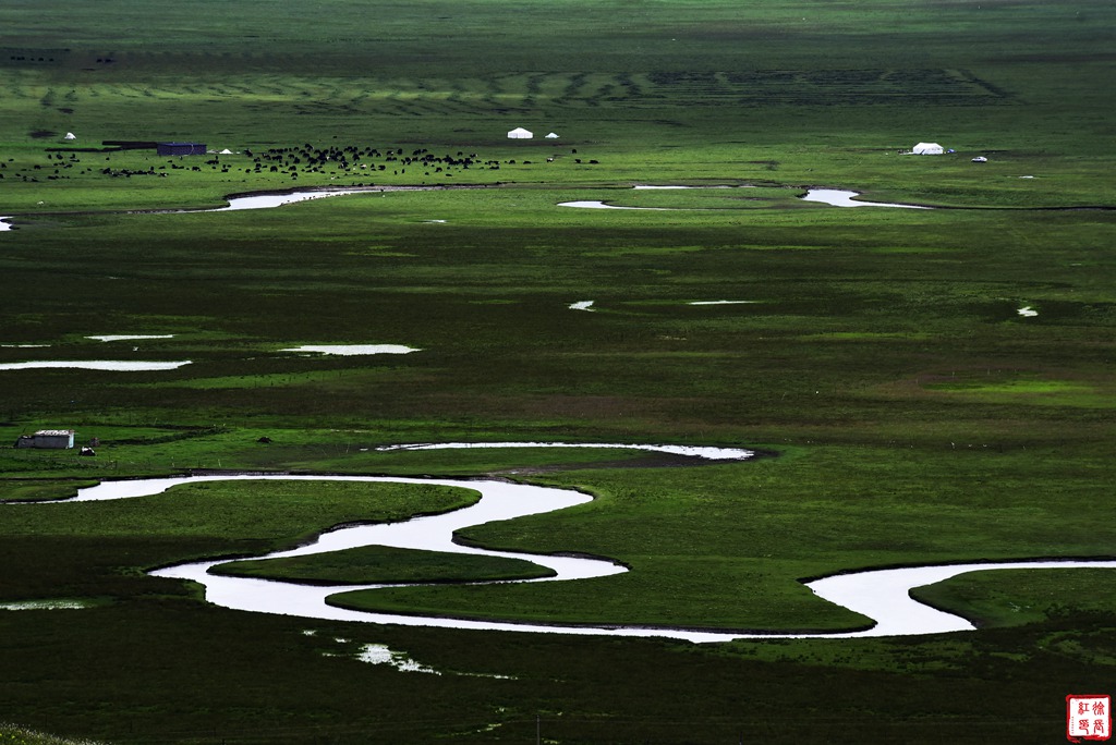 _DSC0717_副本.jpg