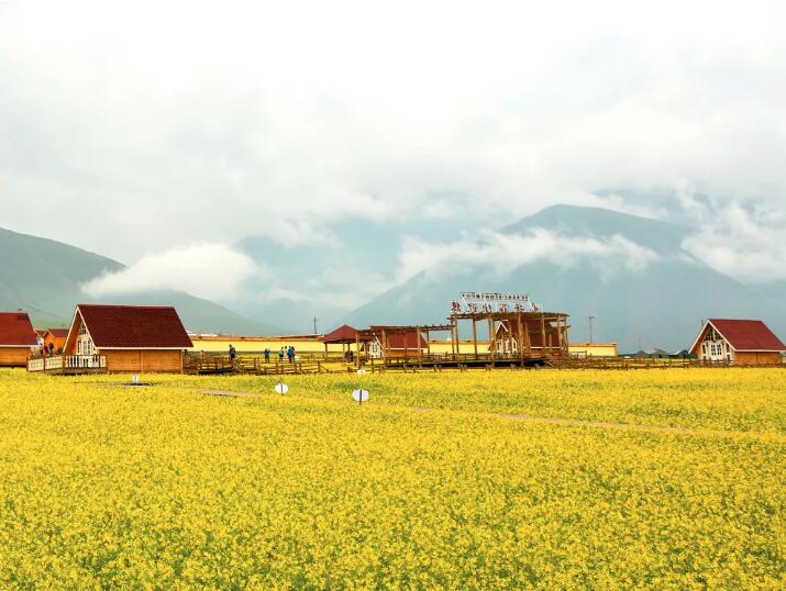 QQ截图20200805160033.jpg