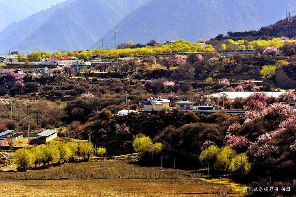 _DSC7199_副本.jpg _DSC7199_副本.jpg