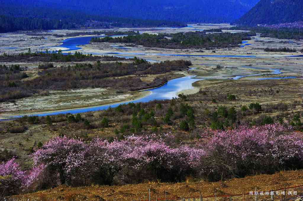 _DSC6999_副本.jpg _DSC6999_副本.jpg