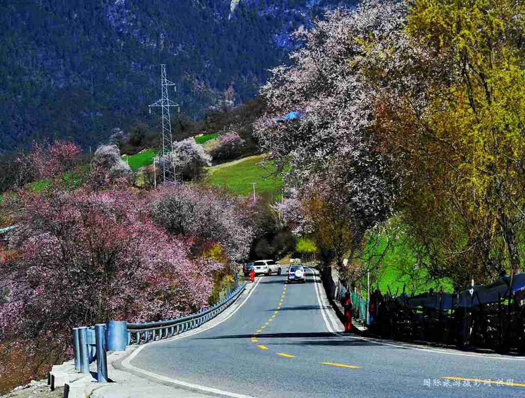 _DSC7062_副本.jpg _DSC7062_副本.jpg