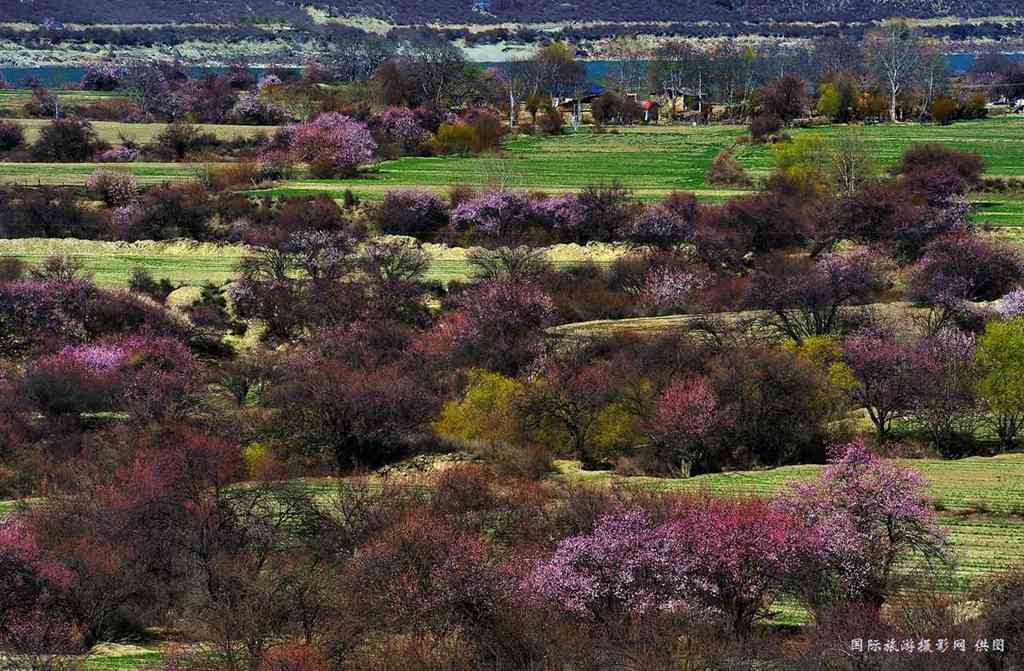 _DSC7384_副本.jpg _DSC7384_副本.jpg