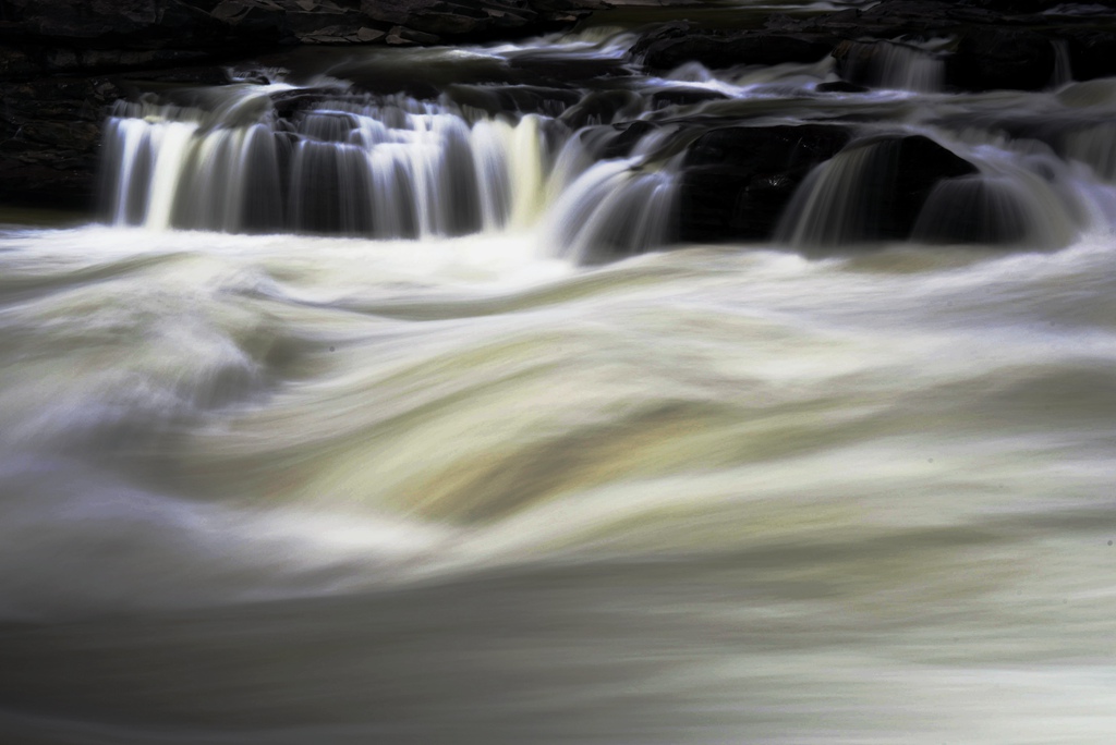 _DSC2449_副本.jpg