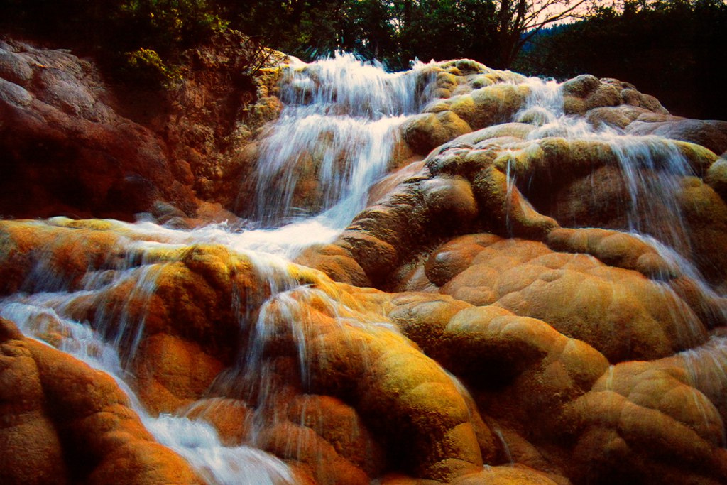 _MG_7920.jpg _MG_7920.jpg