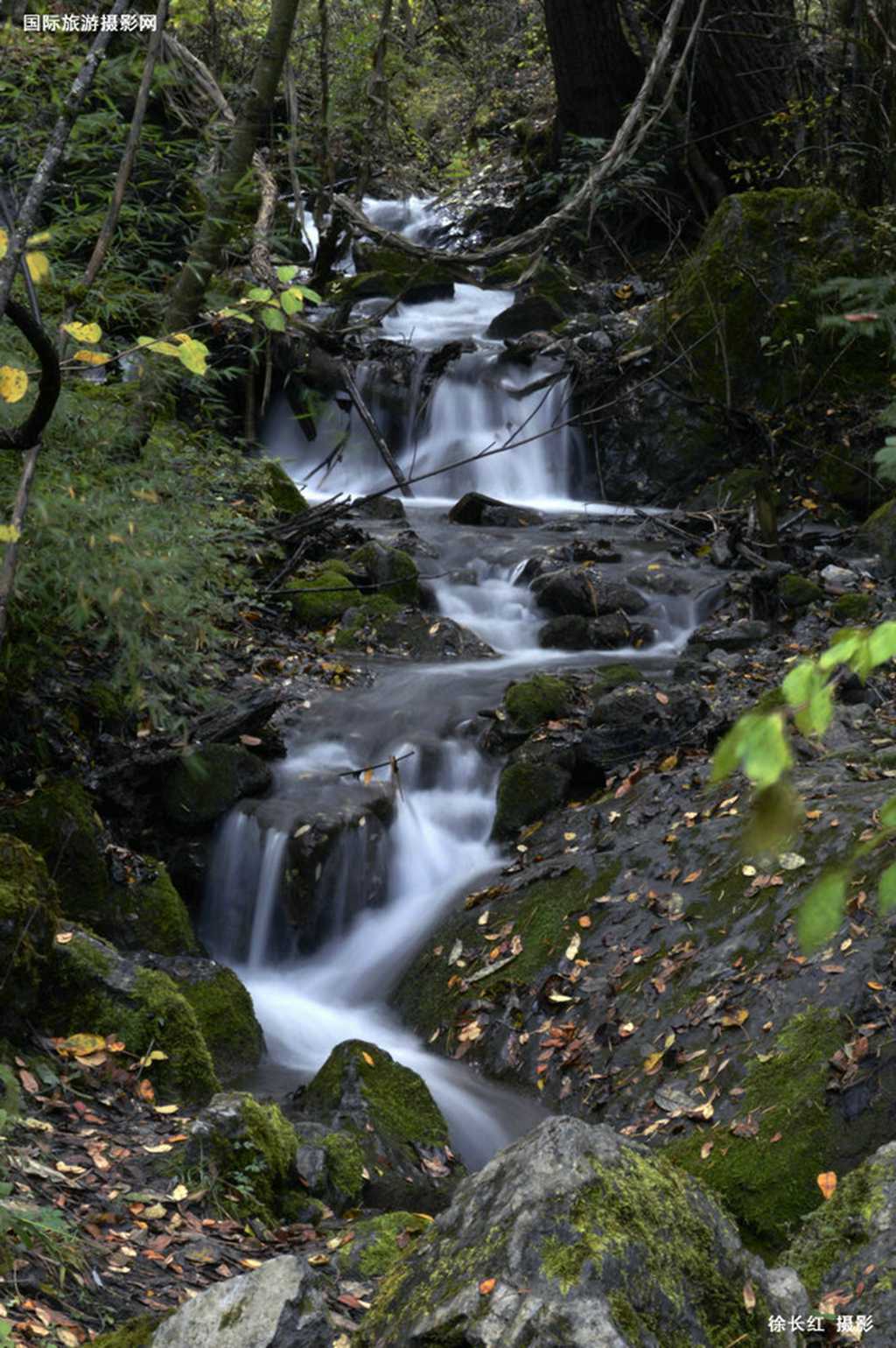 _DSC4573.jpg