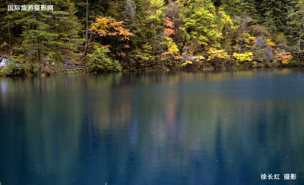 _DSC4690.jpg